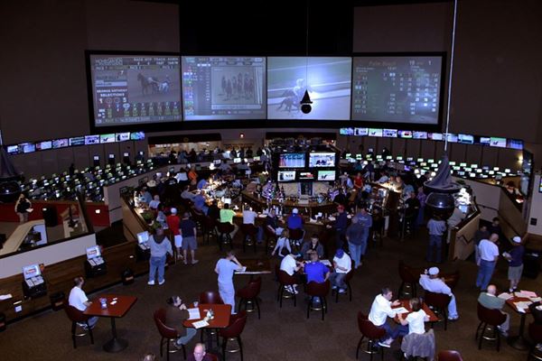 Sports Haven Bar & Grille