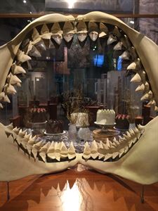 NEC 1st Floor Exhibit Areas & WRAL Theater