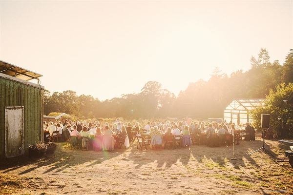 Green Oaks Creek Farm
