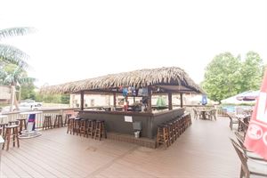 Outdoor Tiki Bar