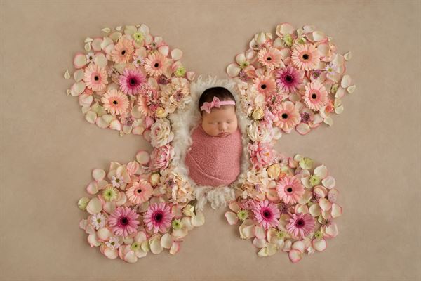 Michelle Gunton Photography