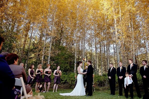 Mountain Springs Lodge