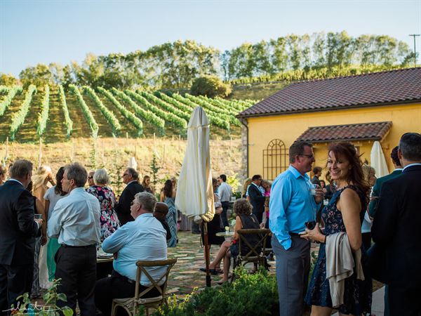 Siren Song Vineyard Estate and Winery