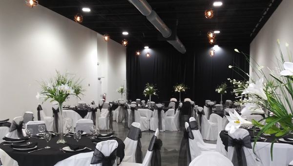 All Art Studio Tampa