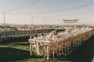 Backyard Manicured Lawn with Vineyard Views