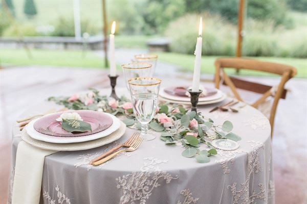 Mountain & Vine Vineyards and Winery