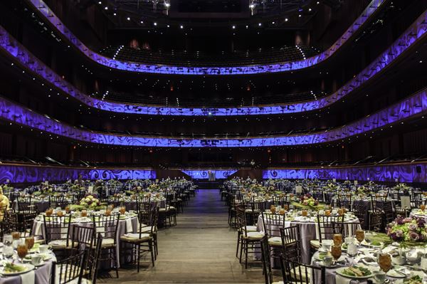 Tobin Center for the Performing Arts