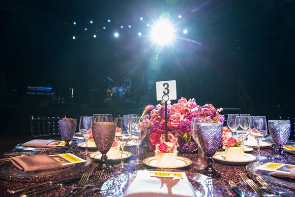 Tobin Center for the Performing Arts