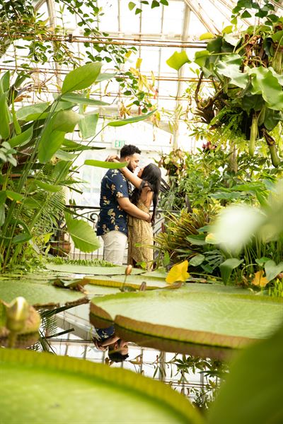 Zoom, Focus & Click Photography