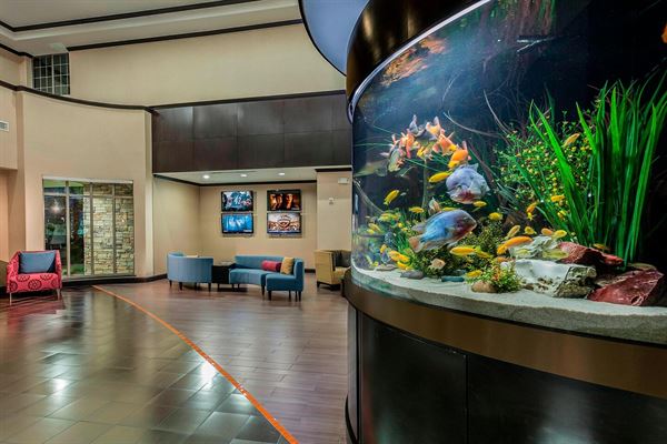 SpringHill Suites Waco Woodway