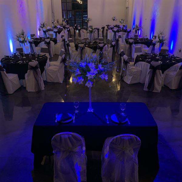 All Art Studio Tampa