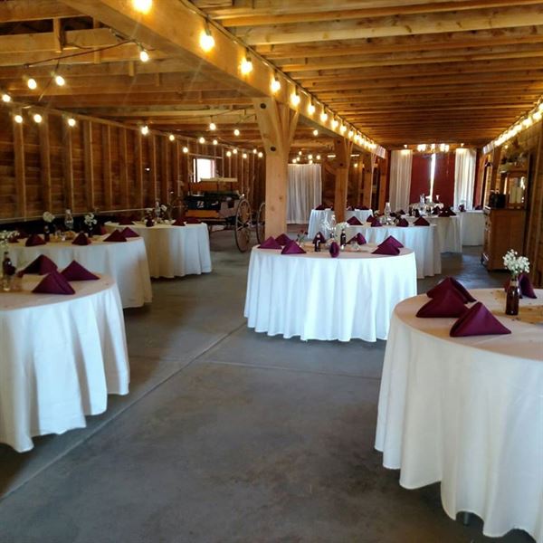 Lock, Stock, & Barrel