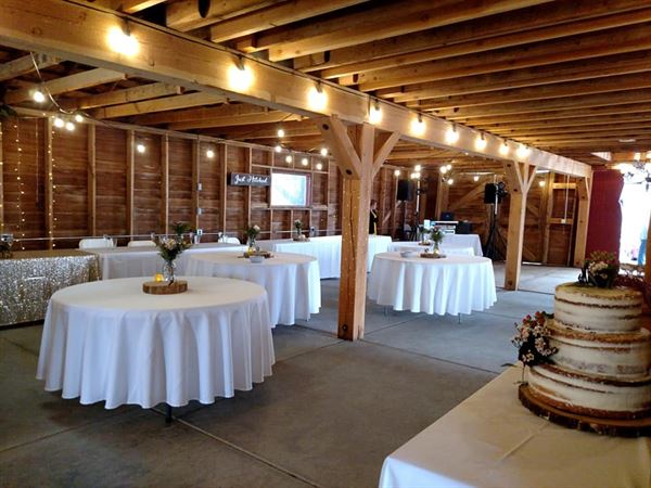 Lock, Stock, & Barrel