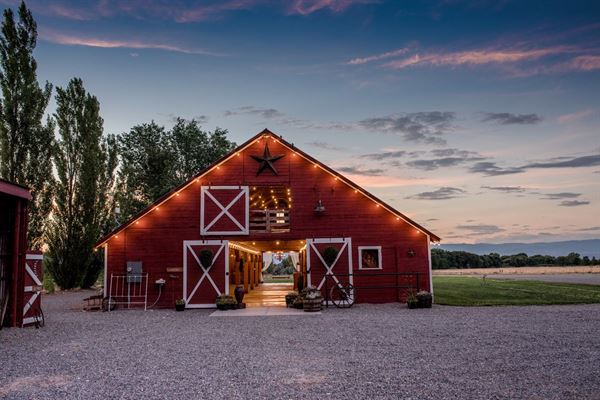 Lock, Stock, & Barrel