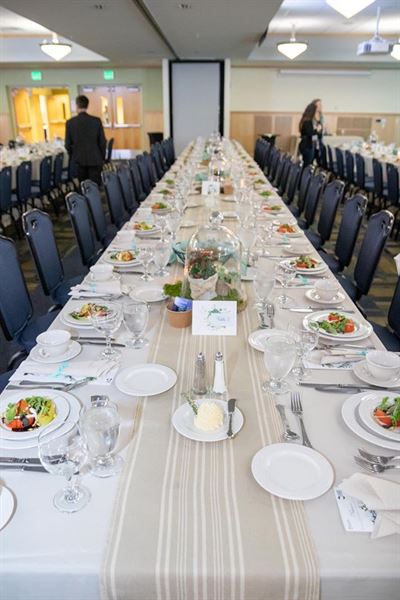 Collins Center for the Arts