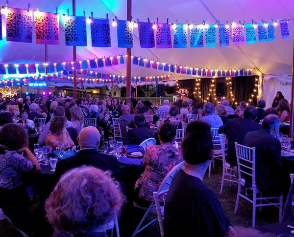 Collins Center for the Arts