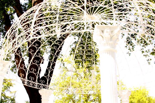 The Victorian Rose of Biggs