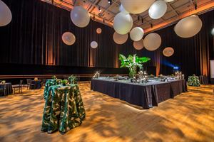 Peacock Foundation Studio