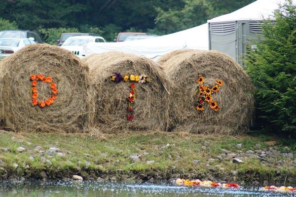 Buffalo Mountain Getaway