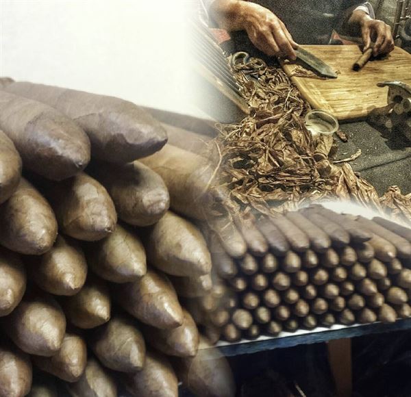 Cigar Roller Events