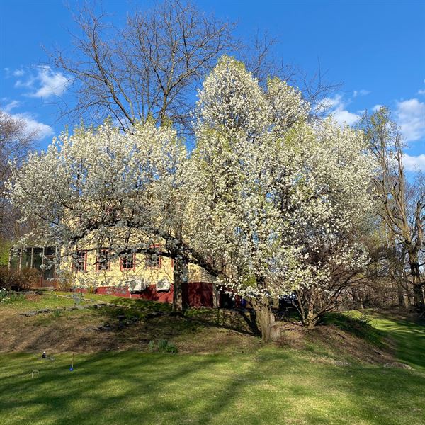 The Spruces Hudson Valley