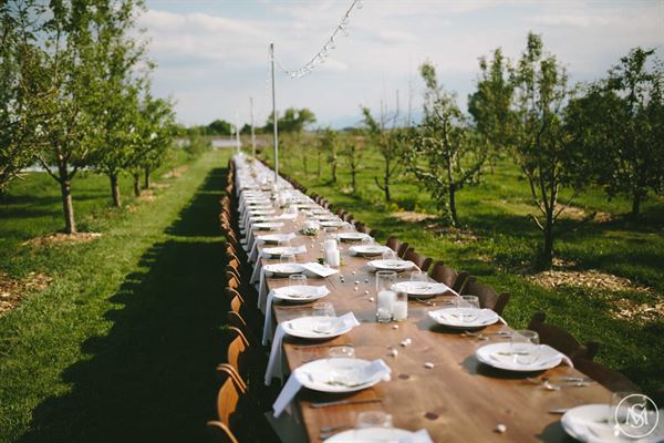 Ya Ya Farm and Orchard