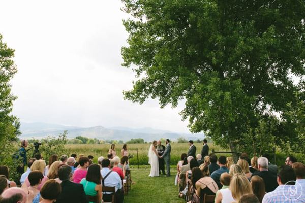 Ya Ya Farm and Orchard