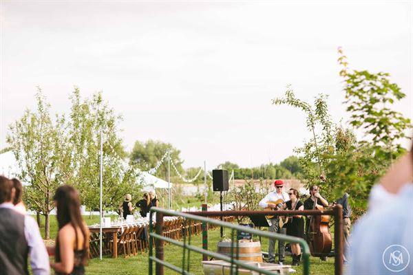 Ya Ya Farm and Orchard