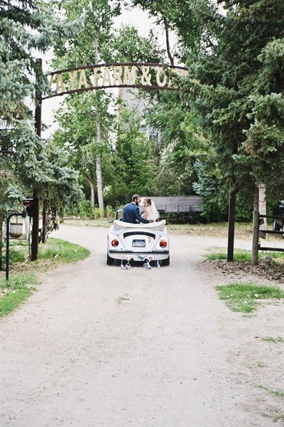 Ya Ya Farm and Orchard