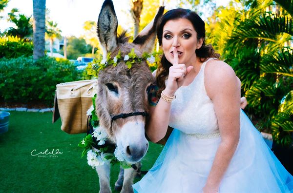 Beautiful Creatures' Farm To You Revue