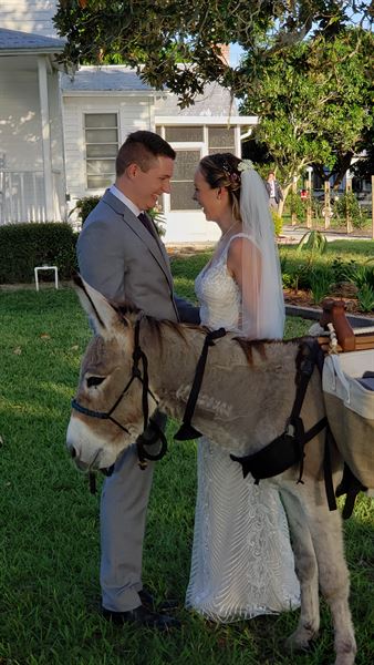 Beautiful Creatures' Farm To You Revue