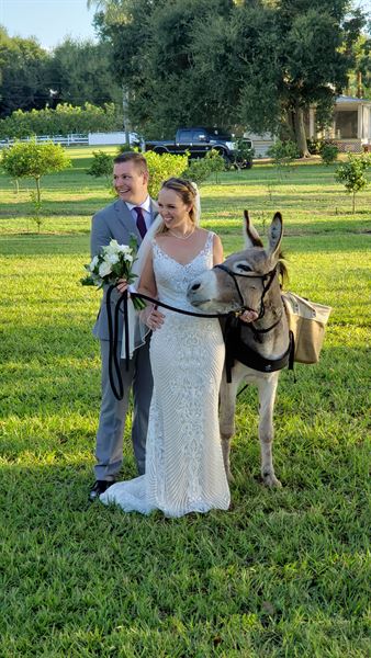 Beautiful Creatures' Farm To You Revue