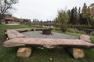 Lake Tamblyn Firepit