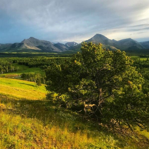 The Lodge at Thanksgiving Ranch