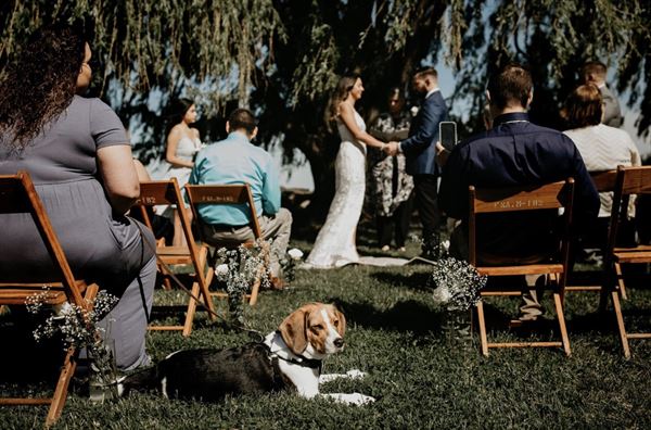 Perfectly Celebrated