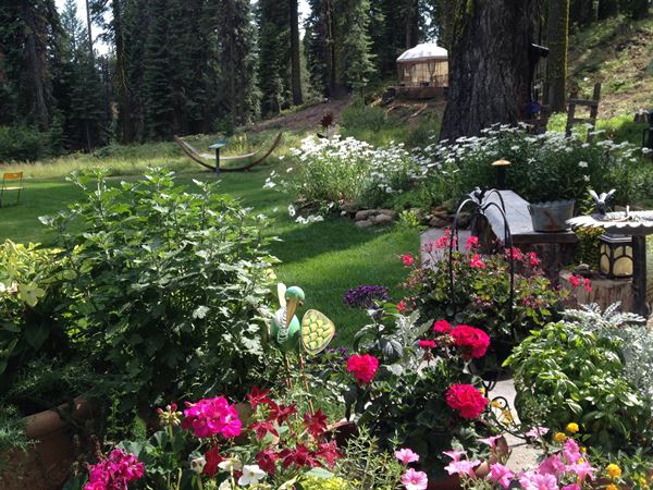 Shasta Weddings, Day