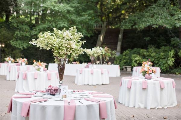 Cator Woolford Gardens