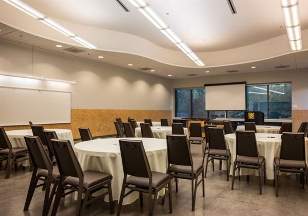 Turtle Bay Exploration Park