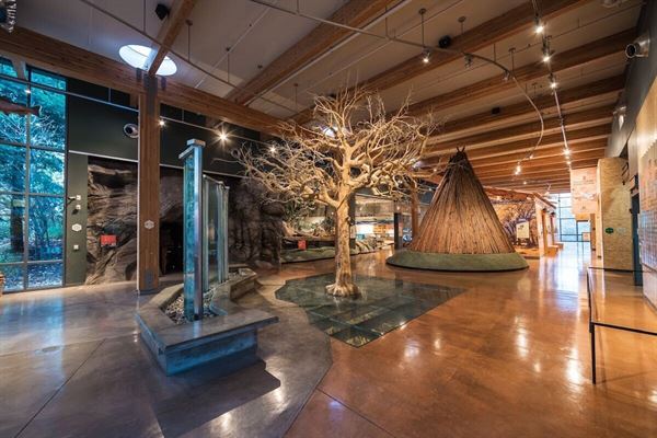 Turtle Bay Exploration Park