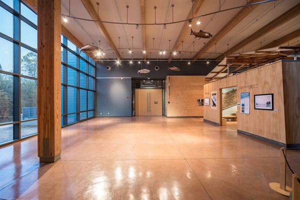 Turtle Bay Exploration Park