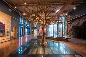 Sierra Pacific Oak Hall