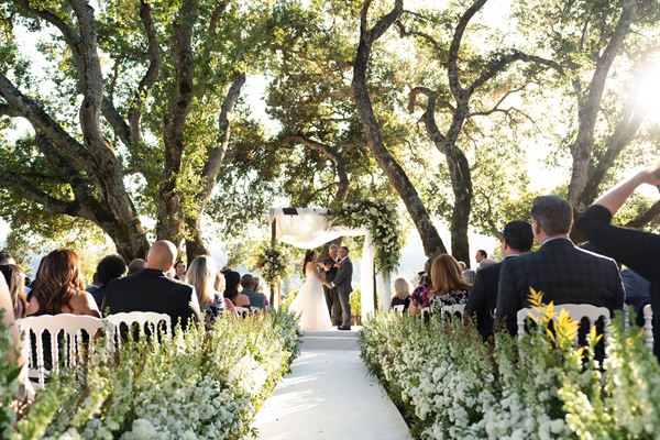 Lily Rose Photography