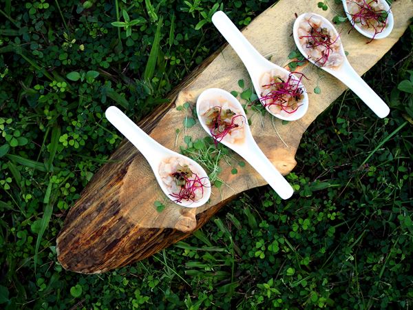 Bill Hansen Catering Inc