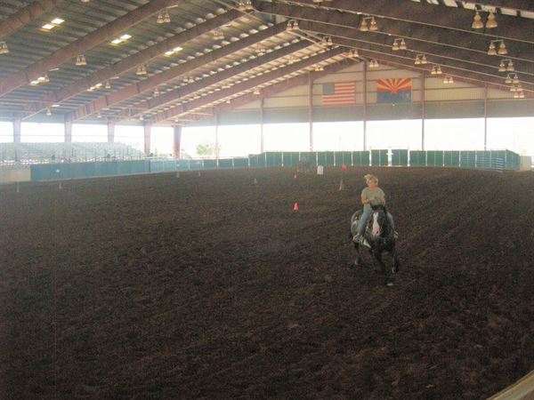 Horseshoe Park & Equestrian Centre