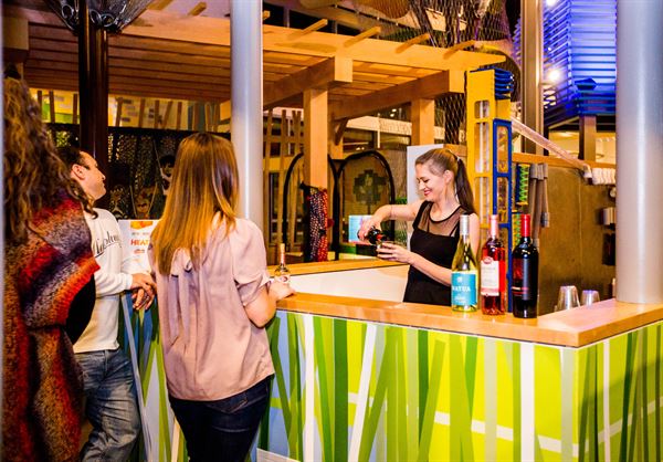 Scott Family Amazeum