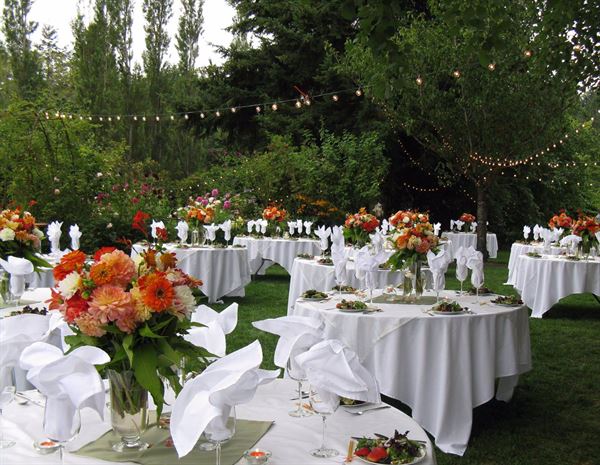 Albee's Garden Parties