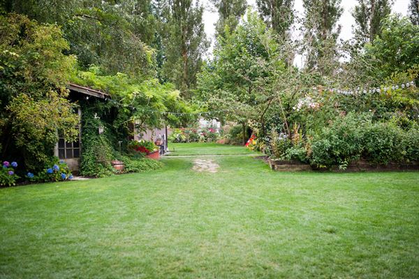 Albee's Garden Parties