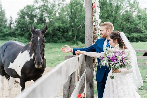 The Farm at Harvest Hills