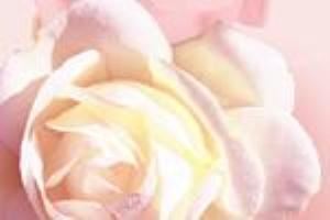 California Special Occasions