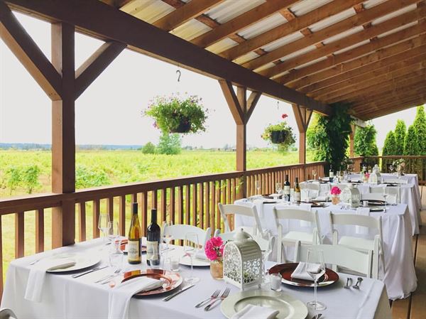 Vinoscenti Vineyards